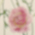 JAGDA CALENDAR SALONE 2011 出品作品のサムネイル
